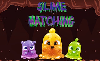 Image Slime Matching